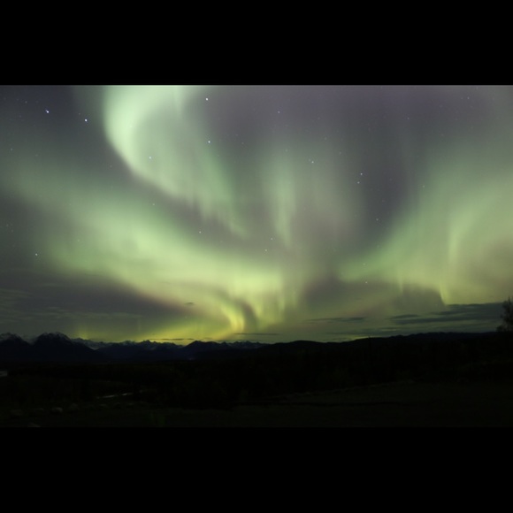 Meet your Posher, Chris - Picture 1 of 1